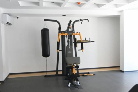 1+1 Wohnung  in Alanya, Antalya, Türkei Nr. 206784 - 23