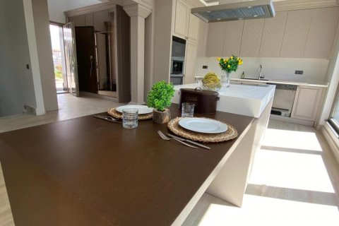 آپارتمان در  Antalya ، ترکیه 450 متر مربع.  شماره 186550 - 13