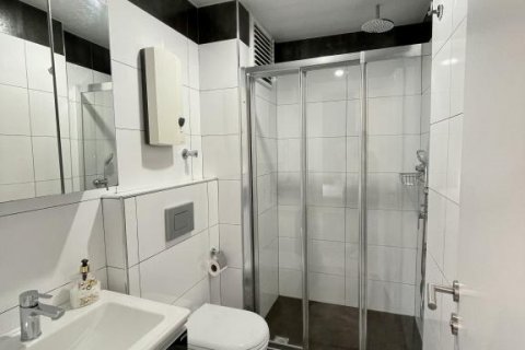 آپارتمان در  Kestel ، امارات متحده عربی 40 متر مربع.  شماره 187284 - 14