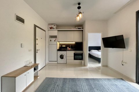 آپارتمان در  Kestel ، امارات متحده عربی 40 متر مربع.  شماره 187284 - 12