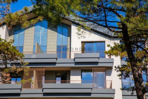 Продажа квартиры  в Бакыркей, Стамбуле, Турция 5+1, 354м2, №169625 – фото 11