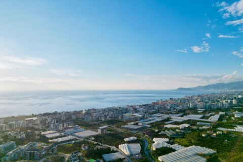 Продажа квартиры  в Аланье, Анталье, Турция студия, №186978 – фото 3