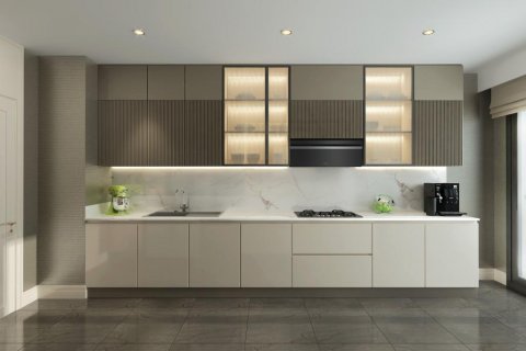 آپارتمان در  Istanbul ، امارات متحده عربی 200 متر مربع.  شماره 186044 - 28