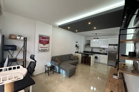 آپارتمان در  Alanya ، ترکیه 1 خوابه  شماره 185731 - 16