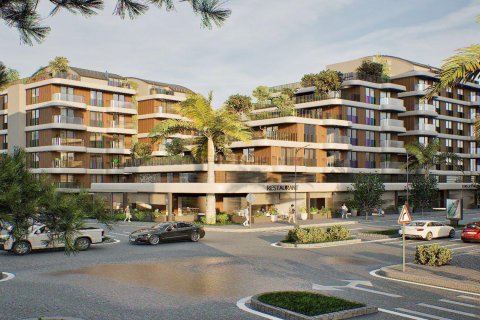 Citrus  in Antalya, Turkey No.184273 – photo 1