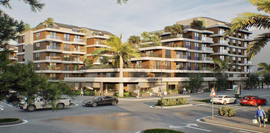 Citrus  in Antalya, Turkey No.184273