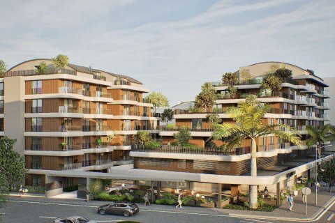 Citrus  in Antalya, Turkey No.184273 – photo 3