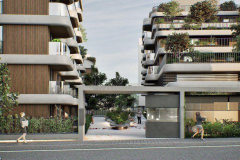 Citrus  in Antalya, Turkey No.184273 – photo 8