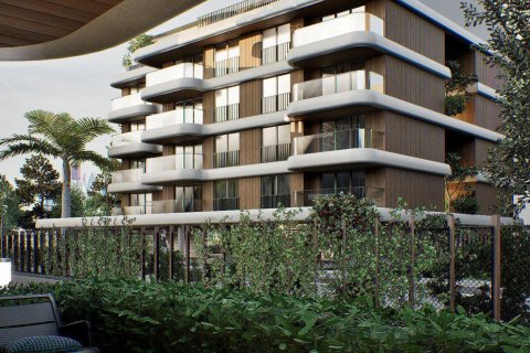 Citrus  in Antalya, Turkey No.184273 – photo 7