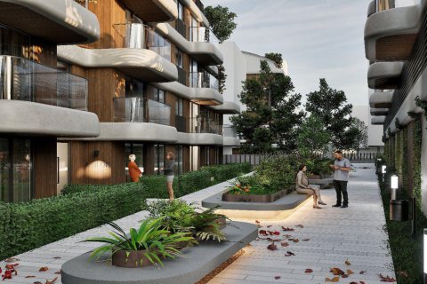 Citrus  in Antalya, Turkey No.184273 – photo 2