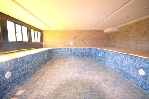 3+1 Takleilighet  i Alanya, Antalya, Tyrkia Nr. 178321 - 24