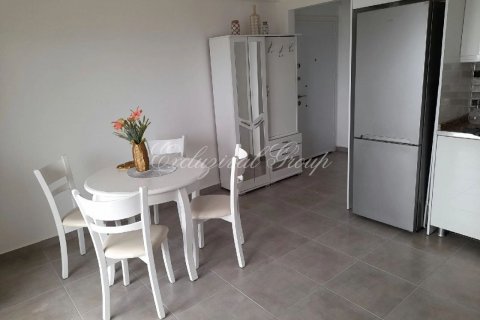 Daire  1+1  Didim, Aydın, Türkiye №189125 - 4