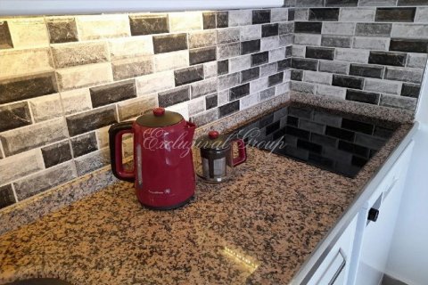 Daire  1+1  Didim, Aydın, Türkiye №189125 - 10