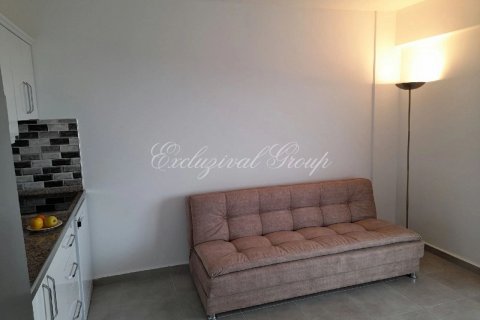 Daire  1+1  Didim, Aydın, Türkiye №189125 - 3