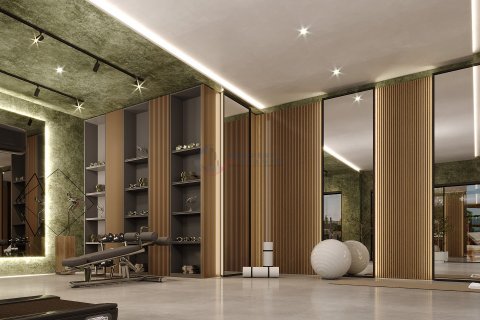 1+1 Wohnung  in Alanya, Antalya, Türkei Nr. 211551 - 12