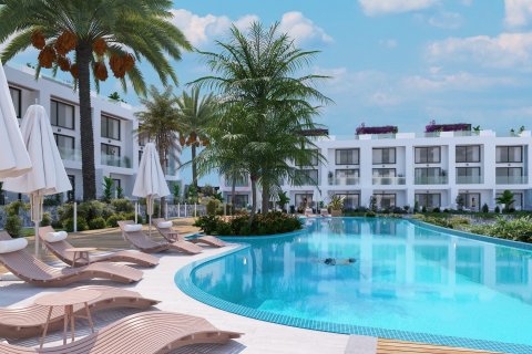 Daire  1+1   №211559 - 4