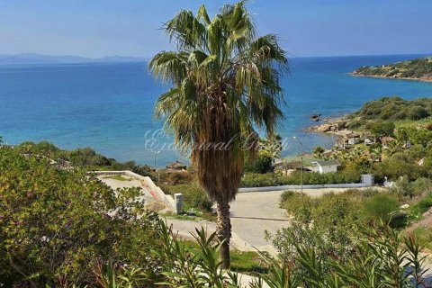 3+1 Villa  i Bodrum, Mugla, Tyrkiet Nr. 187102 - 11