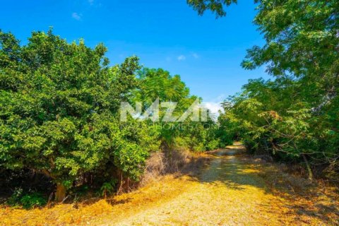 Продажа квартиры  в Аланье, Анталье, Турция, 606м2, №189760 – фото 6