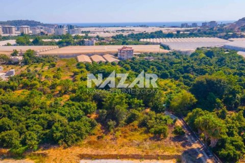 Продажа квартиры  в Аланье, Анталье, Турция, 606м2, №189760 – фото 13