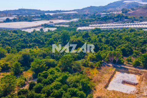 Продажа квартиры  в Аланье, Анталье, Турция, 606м2, №189760 – фото 20