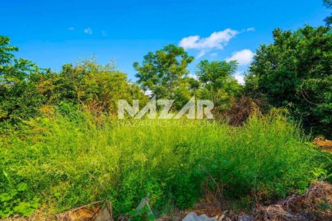 Продажа квартиры  в Аланье, Анталье, Турция, 606м2, №189760 – фото 8