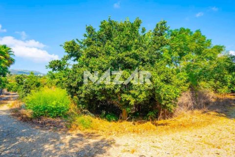 Продажа квартиры  в Аланье, Анталье, Турция, 606м2, №189760 – фото 10