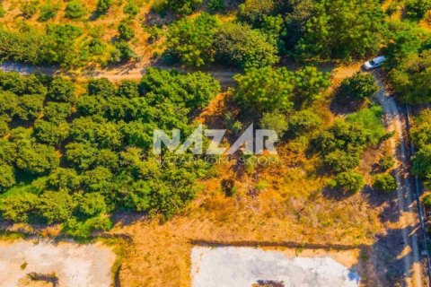 Продажа квартиры  в Аланье, Анталье, Турция, 606м2, №189760 – фото 11