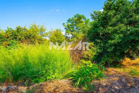 Продажа квартиры  в Аланье, Анталье, Турция, 606м2, №189760 – фото 7