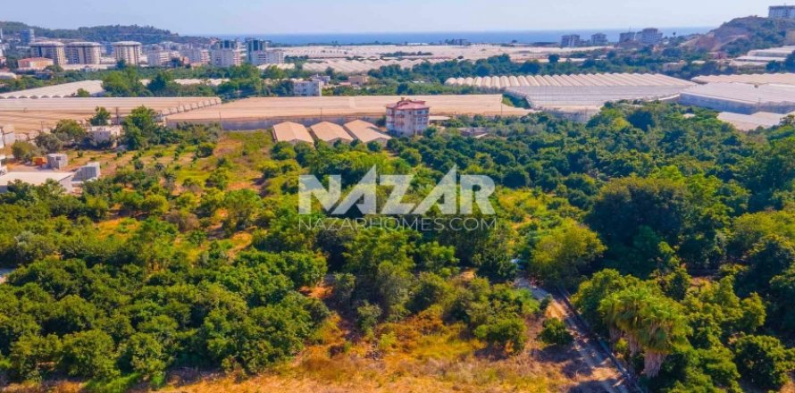 Квартира  в Аланье, Анталья, Турция №189760