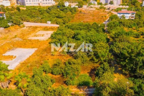 Продажа квартиры  в Аланье, Анталье, Турция, 606м2, №189760 – фото 16