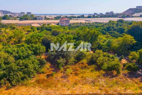 Продажа квартиры  в Аланье, Анталье, Турция, 606м2, №189760 – фото 12