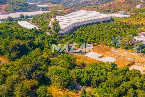 Продажа квартиры  в Аланье, Анталье, Турция, 606м2, №189760 – фото 9