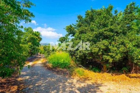 Продажа квартиры  в Аланье, Анталье, Турция, 606м2, №189760 – фото 15