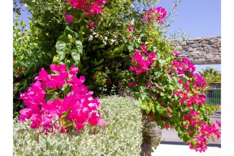 Продажа квартиры  в Северном Кипре 2+1, 96м2, №193183 – фото 16