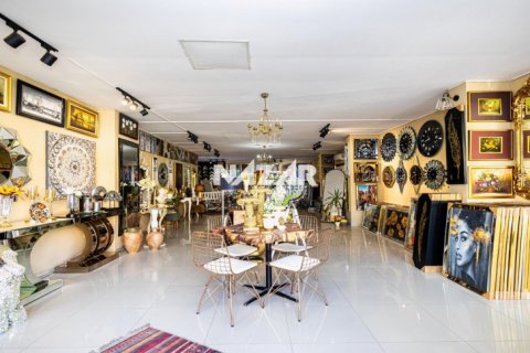 Продажа квартиры  в Махмутларе, Анталье, Турция студия, 250м2, №189744 – фото 8