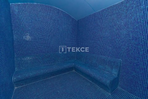 Daire  1+1  Alanya, Antalya, Türkiye №178351 - 16