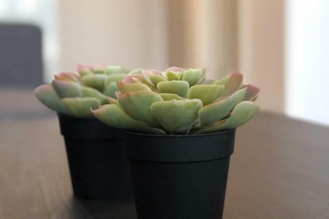 آپارتمان در  Istanbul ، ترکیه 4 خوابه ، 77 متر مربع.  شماره 176774 - 24