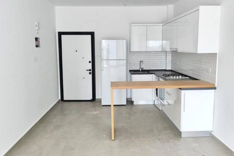 آپارتمان در  فاماگوستا ، ترکیه 1 خوابه ، 65 متر مربع.  شماره 190735 - 4