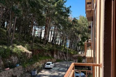 Продажа квартиры  в Каргыджаке, Аланье, Анталье, Турция 3 комн., 120м2, №193282 – фото 27