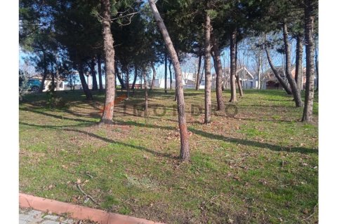 6+1 Villa  i Sariyer, Istanbul, Tyrkiet Nr. 184083 - 10