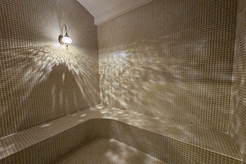 2+1 Wohnung in Kestel, Antalya, Türkei Nr. 188124 - 14