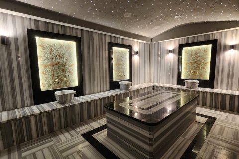 Daire 3+1 Kargıcak, Alanya, Antalya, Türkiye №193498 - 24