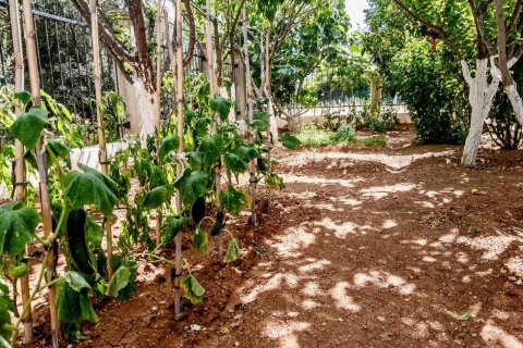 Villa  i Antalya, Tyrkiet Nr. 188690 - 21