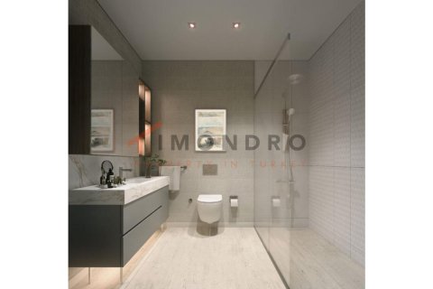 4+1 Wohnung  in Eyup, Istanbul, Türkei Nr. 184511 - 19