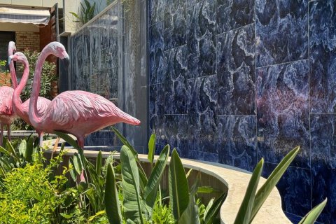 2+1 Penthouse  i Kestel, Antalya, Tyrkiet Nr. 46303 - 22