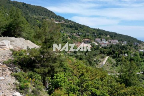 Продажа квартиры  в Аланье, Анталье, Турция, 1075м2, №191254 – фото 9