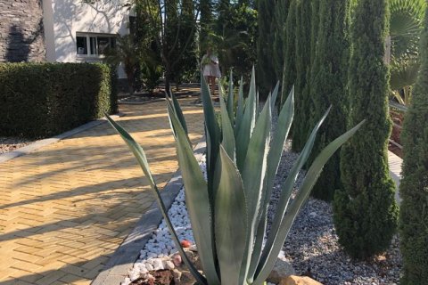 2+1 Villa  i Famagusta,  Nr. 190997 - 9