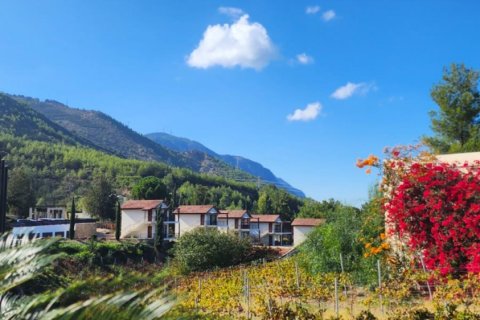 Wohnung in Alsancak, Girne, Nr. 210855 - 16