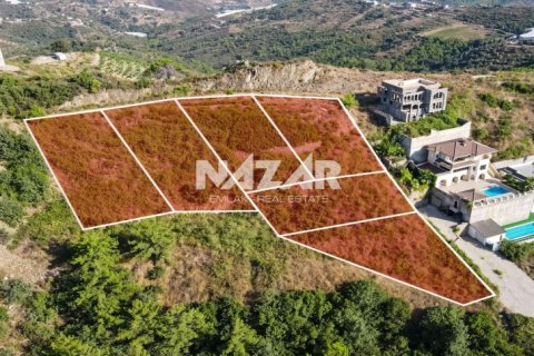 Продажа квартиры  в Аланье, Анталье, Турция, 521м2, №190366 – фото 25