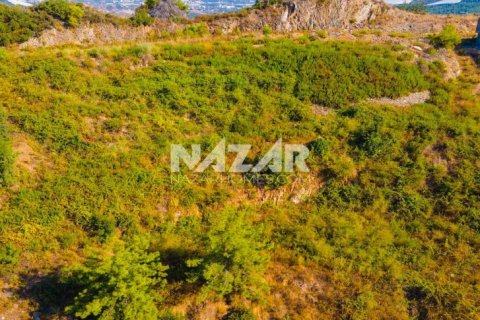 Продажа квартиры  в Аланье, Анталье, Турция, 521м2, №190366 – фото 21